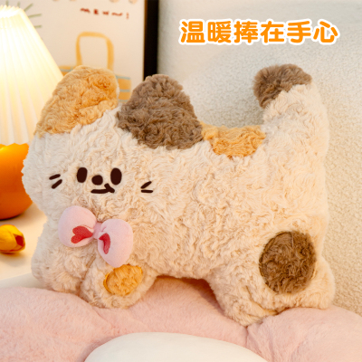 可爱小猫热水袋充电式暖水袋