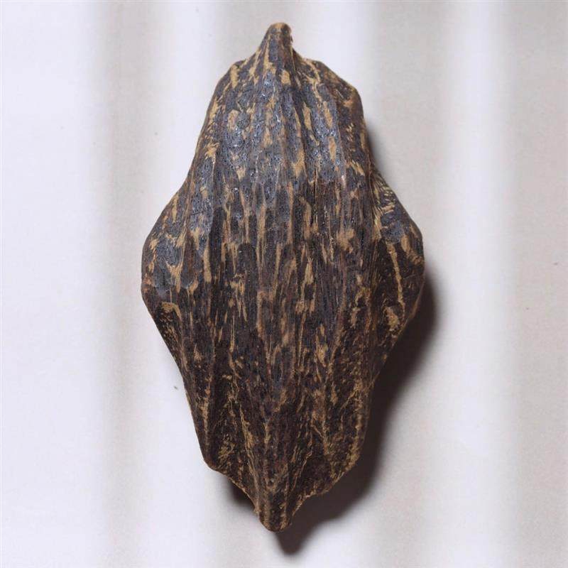 吉祥】印尼达拉干沉香随形黑油瘤疤老料手把件吊坠车挂原料满油沉