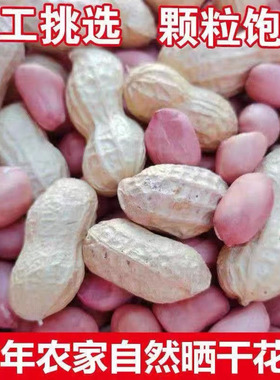 25年带壳生花生1斤-5斤新货干花生农家自种新花生果薄壳花生种子