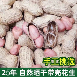 25年生花生带壳晒干5斤新鲜种子级品质农家粉皮大粒鲁花河南