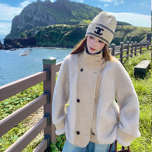 092-2552旅拍羊羔毛P215控318图片