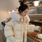 现货现货新品风棉衣092-2258-P195控288连帽，女装棉衣/棉服，浙宝092