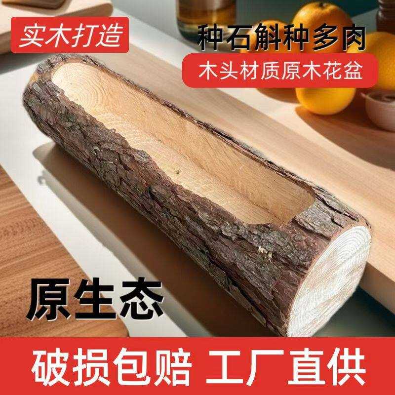 多肉花盆木质树桩长条形圆形异形木桩木头创意造型独特花盆拼盘