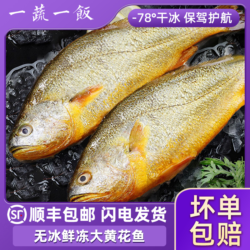 新鲜大黄鱼冷冻黄花鱼福建宁德免处理海鲜水产生鲜食材顺丰包邮