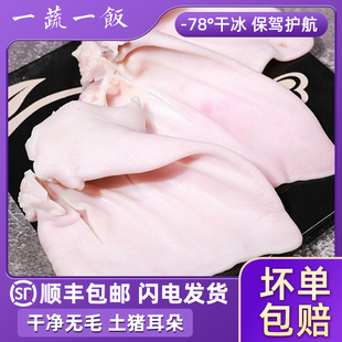 新鲜冷冻猪耳片猪耳朵猪耳尖干净无毛无耳根凉拌卤味卤菜顺丰包邮