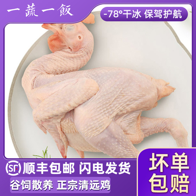 广式清远黄油麻鸡顺丰包邮