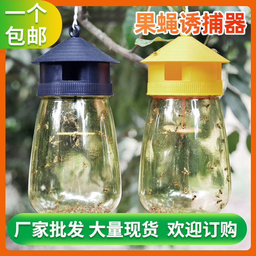 果蝇诱捕针蜂果园防护