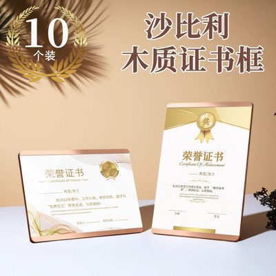 【10个】a4纸荣誉证书奖状展示框