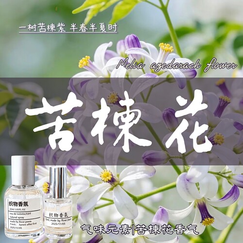 苦楝花衣物香氛喷雾持久留香