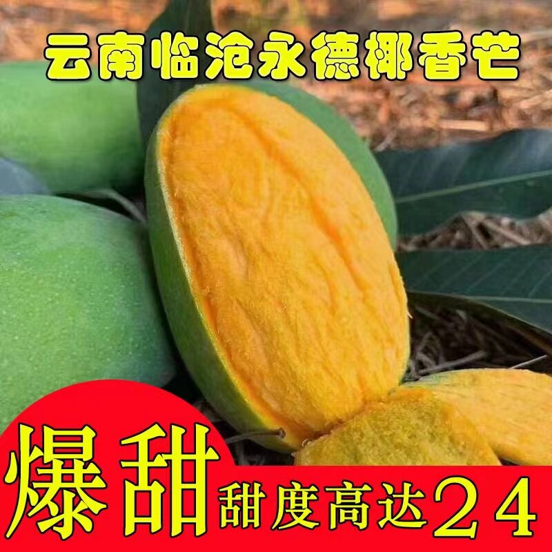 云南临沧永德鸡蛋芒果椰香芒新鲜水果当季