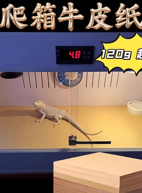 爬宠虫pvc饲养箱牛皮纸加厚A46盒守宫柜鬃狮蜥蜴物蛇专用瓦楞垫材