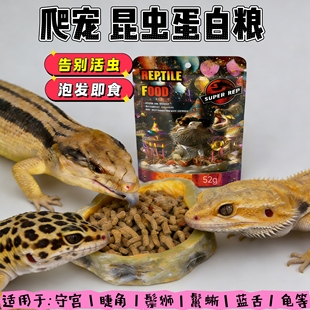 爬宠膨化粮鬃狮蜥饲料凝胶昆虫派虫粉蛋白果冻泥冻干蓝舌绿鬣乌龟
