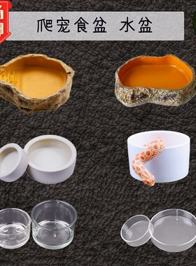 爬宠虫食盆水杯豹纹肥尾守宫防逃脱逸蛇玻璃鬃狮蜥面包大麦虫包邮