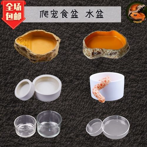 爬宠虫食盆水杯豹纹防逃脱玻璃
