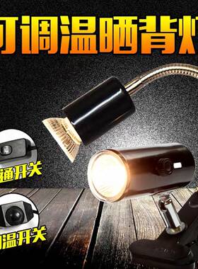 爬宠虫灯架罩夹乌龟鬃狮蜥蜴晒背灯UVAB加热温小太阳补钙取暖包邮