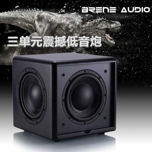 8寸三单元超重密闭式有源低音炮