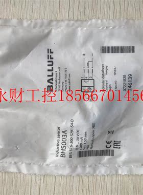 议价ES 516-300-S291-S4-D BHS003A现货促销 全新原装巴鲁夫￥