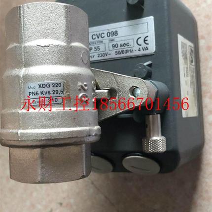议价无包装 E-A XDG 220 PN6 KVS 29.5 + CVC 098￥