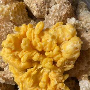 天然蜂蜡可食用级唇膏原料蜂蜡疗法热度医用蜡饼红木保养专用蜂蜡