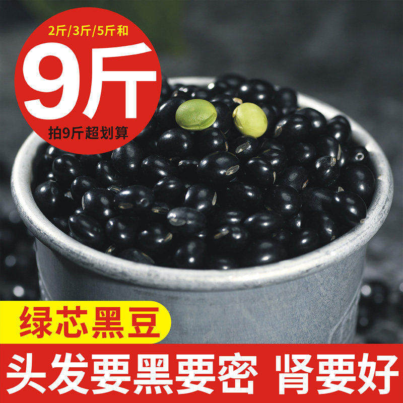 新货新豆广西农家自产自种绿心芯笨小黑豆粗粮打豆浆专用杂粮散装