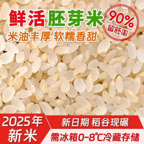 东北胚芽米2025年新米圆粒粳米小孩辅食熬米汤粥现碾磨补津液养脾