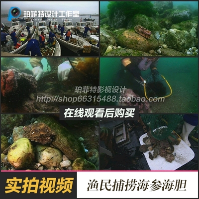 实拍视频素材渔民出海捕捞打捞海产打渔海鲜美食鲍鱼烧烤烹饪高清