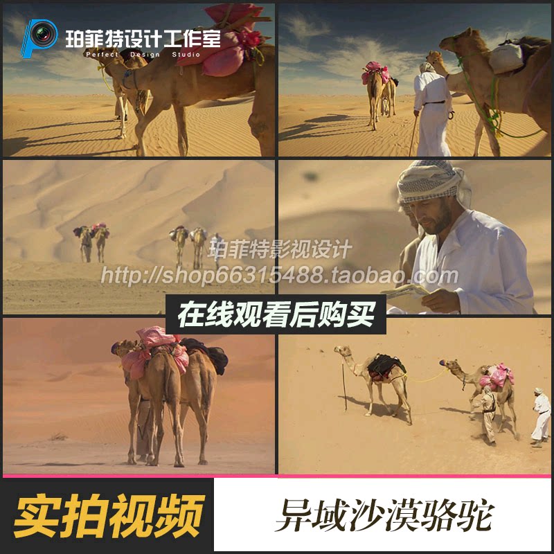 中东异域驼队的人牵着骆驼穿越行走在沙漠视频素材