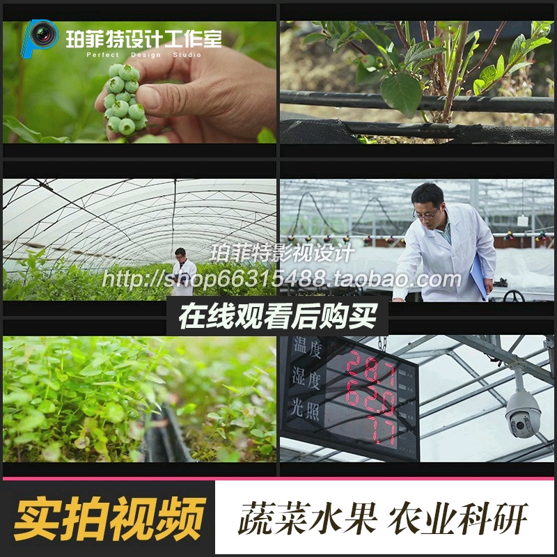 农业科研蔬菜水果农产品宣传片现代大棚种植高清实拍视频素材