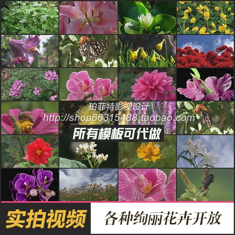 實拍各種鮮花盛開蝴蝶春天唯美花朵花草樹木花卉花展花瓣視頻素材在類目 商務/設計服務, 設計服務, 設計素材/源文件中 - 來自Buy2taobao.com提供專業的淘寶代購服務