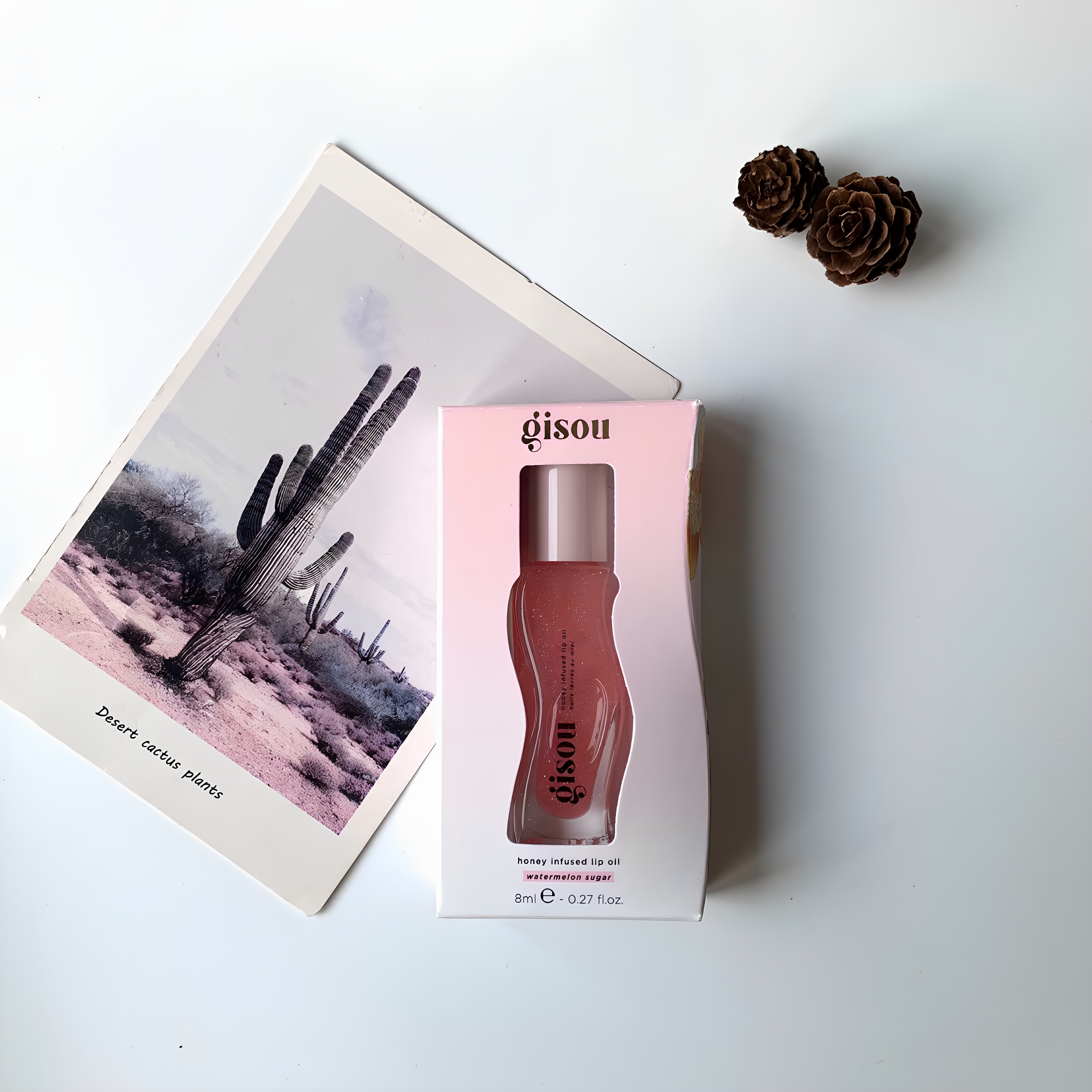 Gisou honey唇油西瓜蜂蜜椰子草莓芒果樱桃滋润保湿唇蜜唇釉护唇