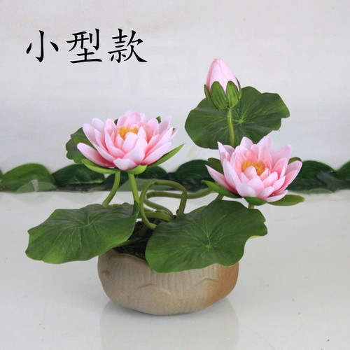 供佛室内装饰莲花小盆景睡莲