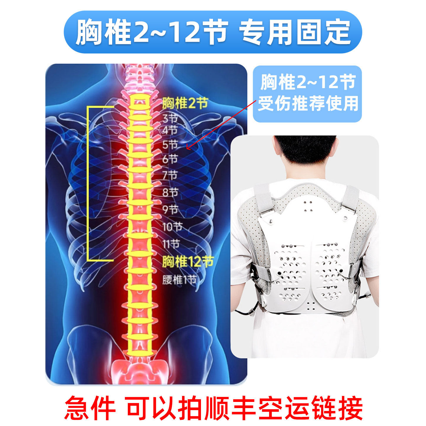 可调气囊填充胸椎固定支具胸椎骨折术后康复神器胸椎受伤专用石膏