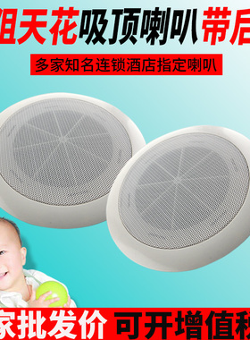 H216家装酒店吊顶音箱嵌入式音响集成吊顶音响天花音箱吊顶音响