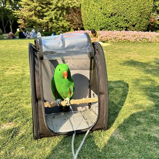 大中型宠物鹦鹉外出背包透明笼子便携外带运输箱玄凤手养鸟灰鹦鹉