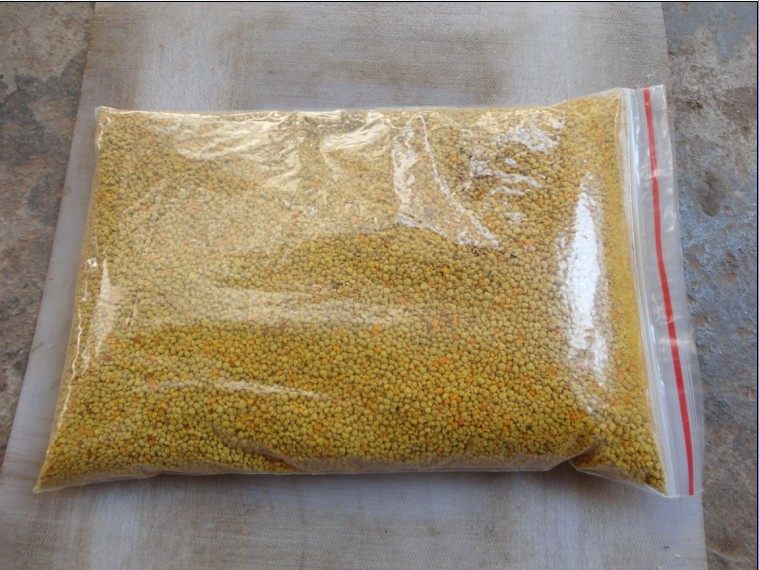 养蜂用具 蜂花粉 荞麦花粉 40元/公斤