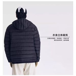 1506/Q5610/P65大码轻薄款连帽排骨羽绒棉服男女情侣棉衣图片