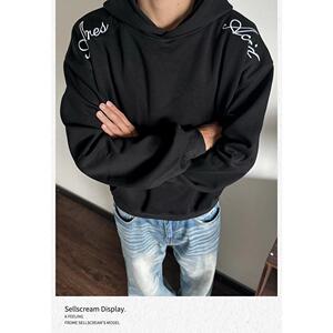 1506-1/WCX2261/P48春秋连帽卫衣男套头刺绣运动青少年图片