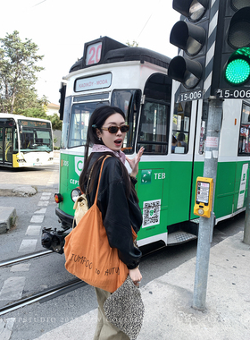 草莓跳 spring to autumu 字母刺绣单肩帆布包秋季大容量托特包