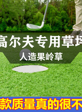 高尔夫球场草坪人造果岭草人工塑料户外门球场仿真曲丝草皮地毯