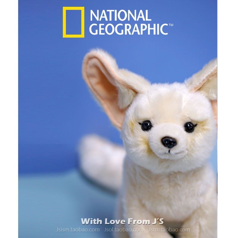 国家地理耳廓狐毛绒玩偶仿真动物公仔疯狂动物城狐狸芬尼克leosco