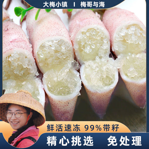 大梅小镇满籽满膏海兔