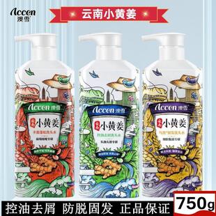 澳雪小黄姜洗发水正品生姜防脱控油去屑丰盈蓬松洗头水柔顺护发素