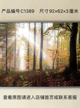 C1386相框画壁挂件客厅装饰画油画JDJ礼品YS家居饰品十字架