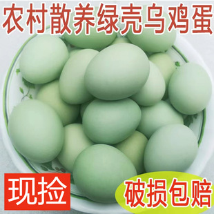 正宗新鲜散养绿壳乌鸡蛋农村家五黑鸡土鸡蛋笨鸡蛋草鸡蛋 包邮