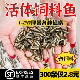 喂乌龟饲料鱼小鱼活体养殖活鱼龙鱼活食饲料淡水鱼苗草鱼苗鲫鱼苗
