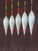 黑坑鲤鱼60cm行程顿口接口偷驴蛋蛋漂船长c41同款 带壳芦苇浮标