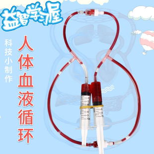 人体血液循环系统模型STEM儿童益智科教具科技小制作材料包DIY