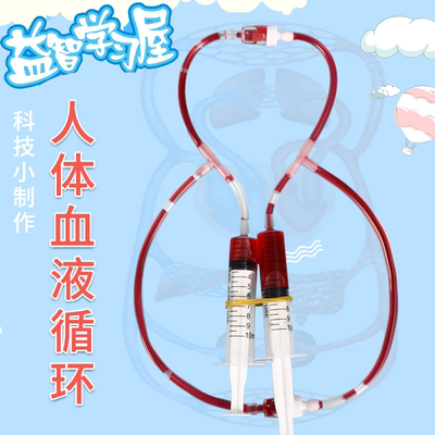 人体血液循环系统模型DIY