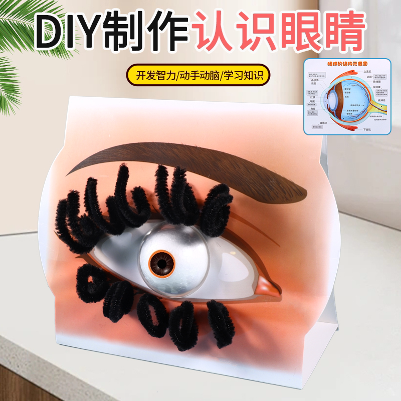 眼睛模型儿童科学实验制作材料包