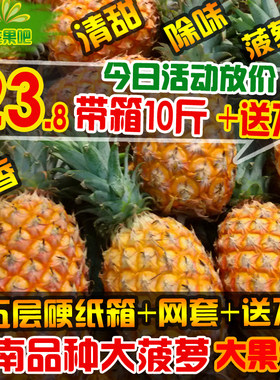 新鲜香水越南品种手撕大果大菠萝